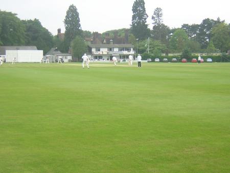 View of the ground