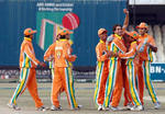 Lahore Lions celebrate a Sialkot Stallions wicket