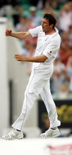 Steve Harmison celebrates the wicket of Hashim Amla