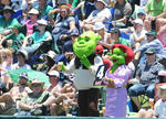 Fans dressed as Mr and Mrs Shrek at SuperSport Park