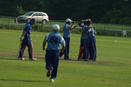 Stallions players celebrate after the last batsman is run out