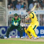 George Bailey steadied Australia innings