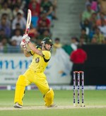 Matthew Wade plays the cut shot