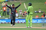 Naveed celebrates Haris' wicket