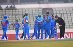 India Under-19s celebrate a wicket