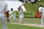 Mike Powell cover drives Dougie Brown