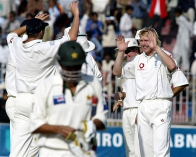 Matthew Hoggard celebrates after taking a wicket