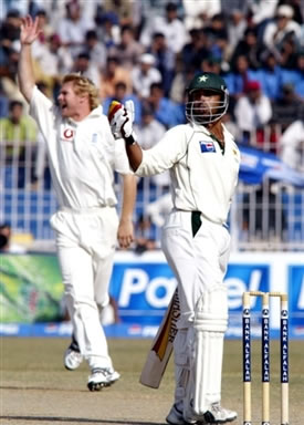 Matthew Hoggard appeals for a caught behind